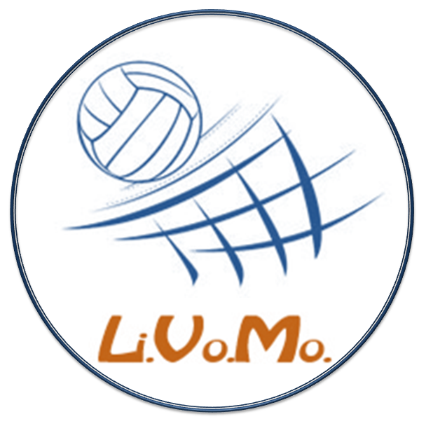 logo de Liga De Voley De Montecarlo