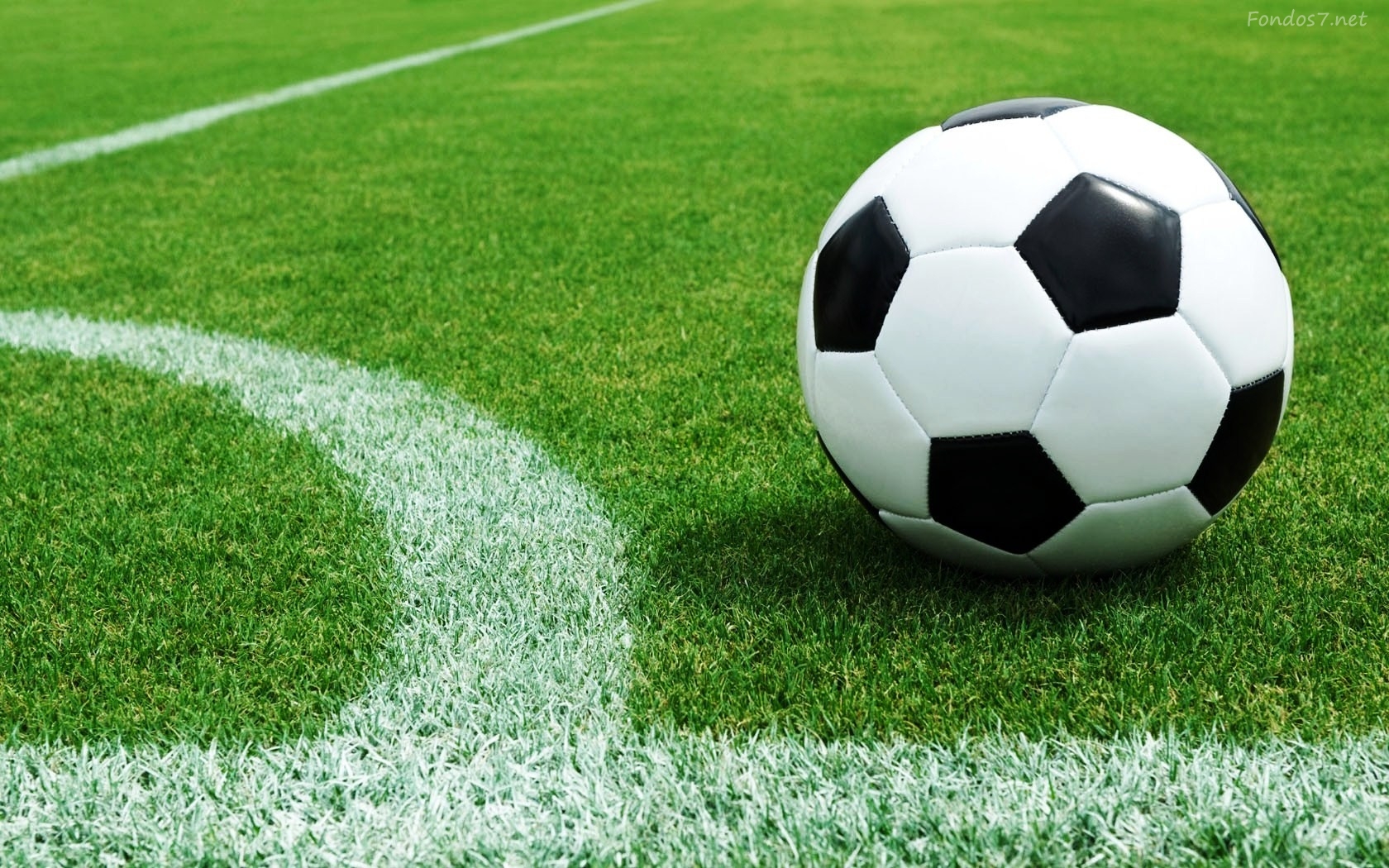 logo de Fut5 Para Todos